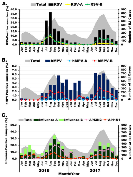 Seasonal distribution of infection for each virus.