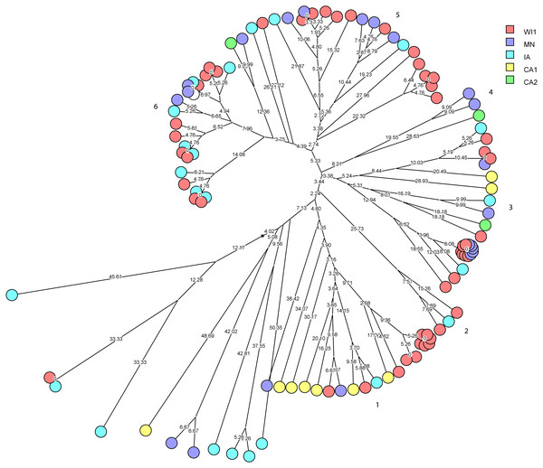 Phylogenetic cluster analysis of Staphylococcus haemolyticus strains isolated from US dairies.