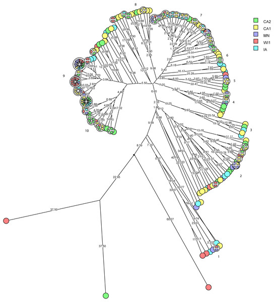 Phylogenetic cluster analysis of Staphylococcus chromogenes strains isolated from US dairies.