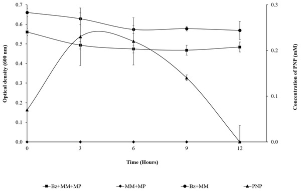 MP hydrolysis activity and PNP degradation by Burkholderia zhejiangensis CEIB S4-3 and its effects over the cellular population.