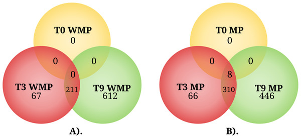 The Venn diagram represents the differentially expressed genes shared by condition among three different times.