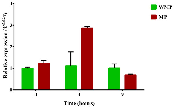 Differential expression of the mpd gene observed by condition and time.