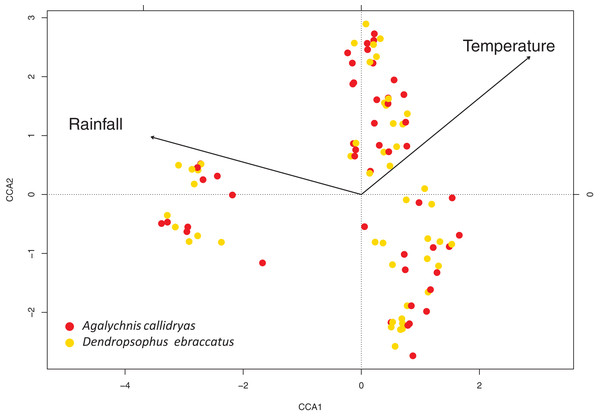 Canonical correspondence analysis of the variation in bacterial community structure on the skin of both treefrog species.