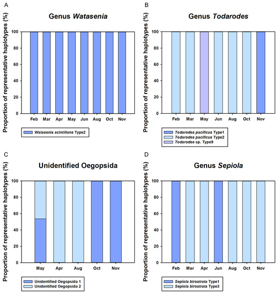 Proportions of representative haplotypes recovered from four dominant cephalopod genera in Korean waters.