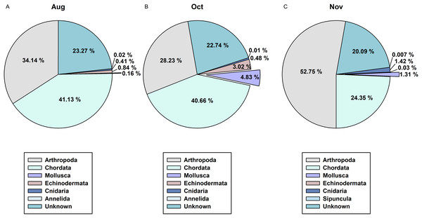 Proportions of metazoan phyla in the zooplankton net samples by the metabarcoding analysis with COI universal primer set.