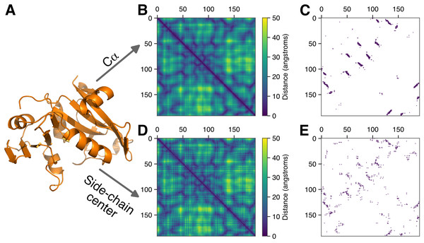 Constructing contact maps from protein structures.