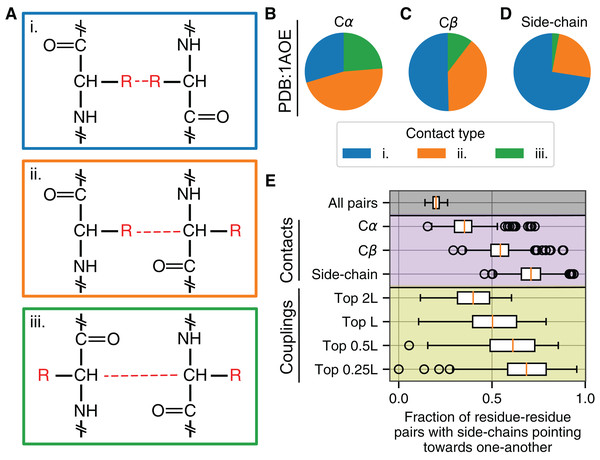 Different types of residue–residue interactions are possible.