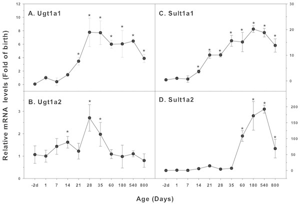 Age-related mRNA expression of UGT and SULT family genes in livers of male rats.