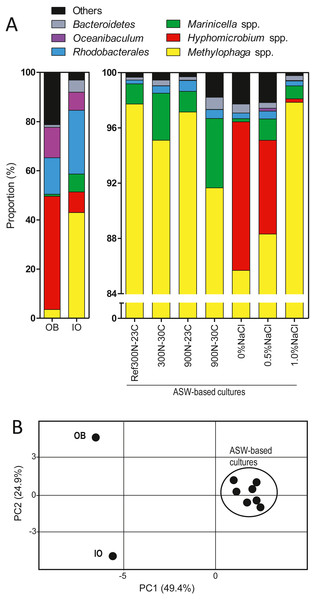 Proportion of affiliated OTUs in the biofilm cultures.