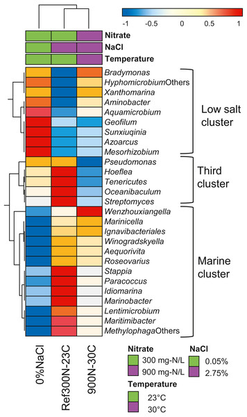 Hierarchical clustering of selected bacterial taxa in biofilm culture metatranscriptomes.