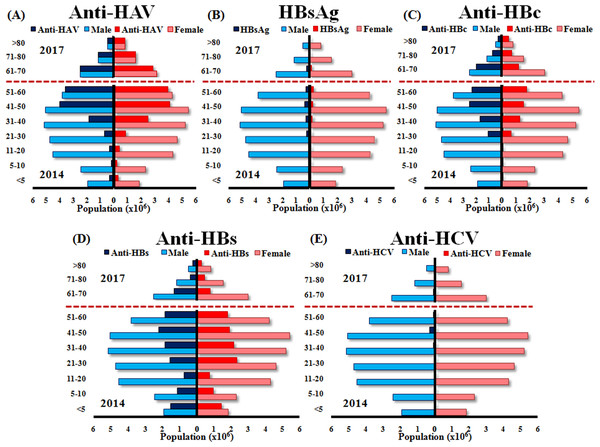 Estimated numbers of males and females positive for anti-HAV, HBsAg, anti-HBc, anti-HBs, and anti-HCV aged <5, 5–10, 11–20, 21–30, 31–40, 41–50, 51–60 (2014 data) and 61–70, 71–80 and >80 (2017 data).