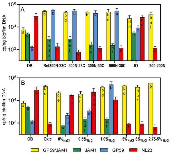 Denitrifying activities and dynamics of H. nitrativorans strain NL23 and  M. nitratireducenticrescens in the biofilm cultures.