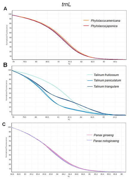 Melting curve profiles of amplicons obtained from trnL primers of samples of each genus.