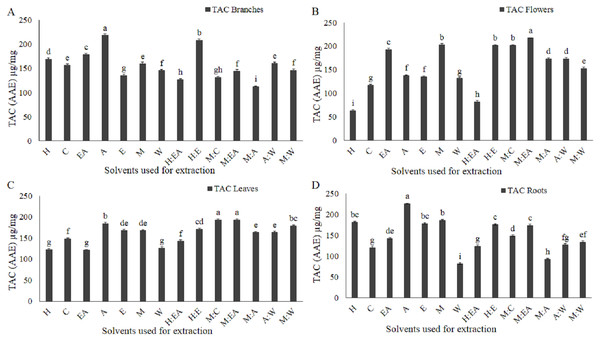 Total antioxidant activity (TAC, phosphomolybdenum method) as µg/mg ascorbic acid equivalent (AAE) was markedly influenced by the solvent type and polarity.