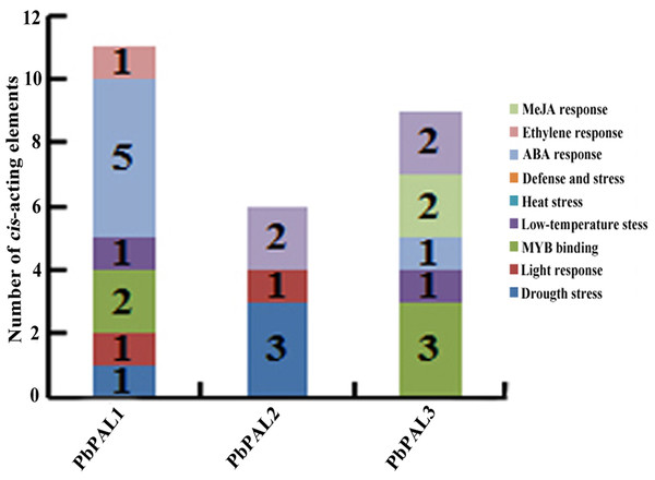 Distribution of main cis-elements and putative regulating factors in the promoter regions of pear PAL genes.