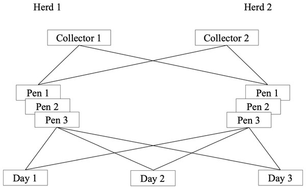 Schematic presentation of a longitudinal study of the reliability of environmental sampling and testing methods to quantify MAP1 in drylot cow pens in 2 California dairies.