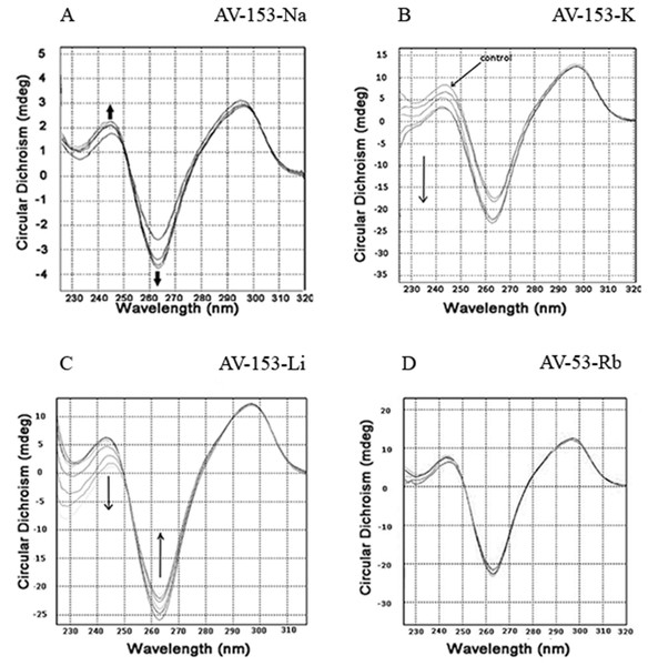 Circular dichroism spectra of the human telomere repeat oligonucleotide.