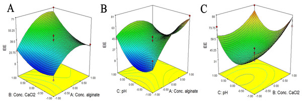 Response surface for the interaction of the independent variables in relation to the efficiency of enzyme storage (% EE).