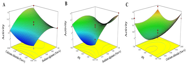 Response surface for the interaction of the independent variables in relation to the efficiency of dextranase activity.