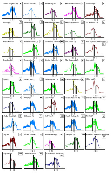 HRM derivative melting curve from 43 different breeds of dogs based on data of UBC823 and dog groups classified by FCI nomenclature.