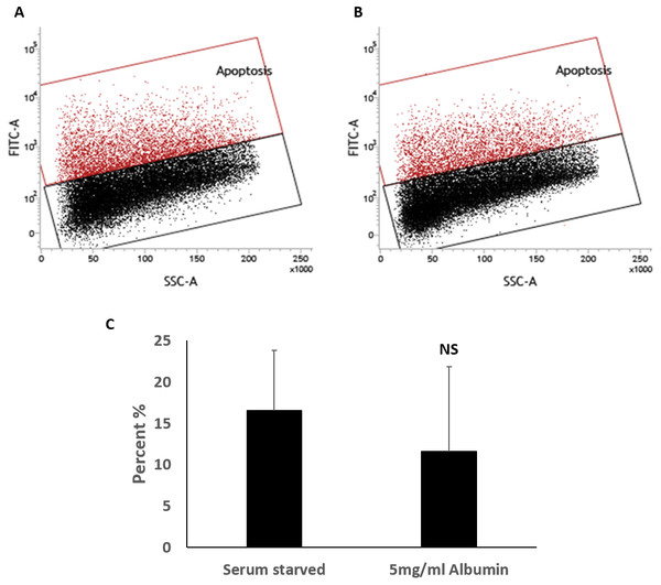 TUNEL assay for the measurement of percentage of cells with fragmented DNA.