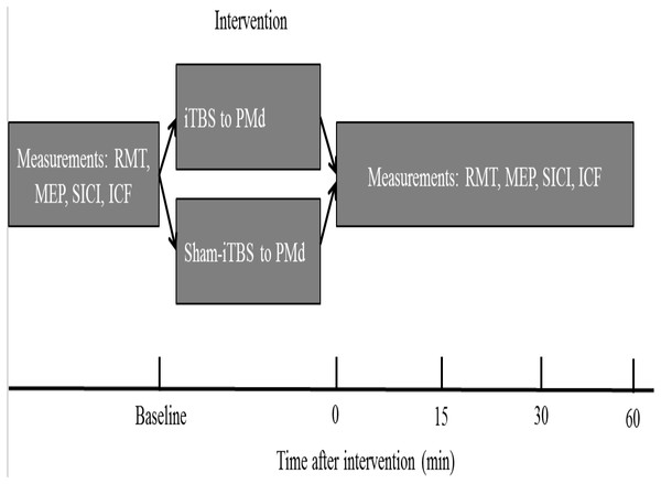 Schematic of the experimental design.