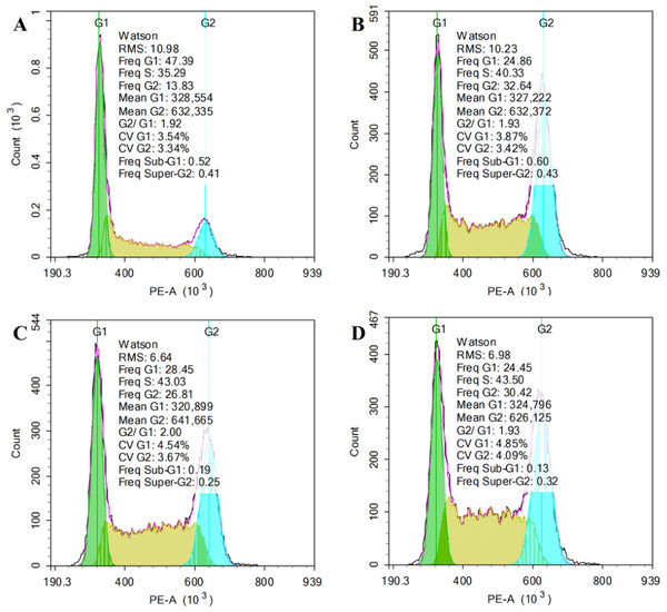 RQDs arrest cell cycle in G2 and S phase.