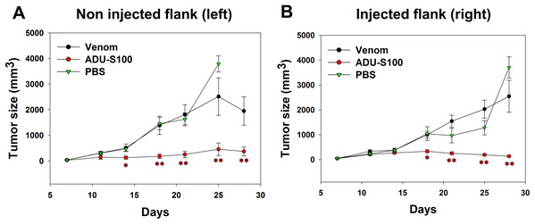 Quantification of tumor size in left (A) and right (B) flanks after intratumoral injections of M. bornmuelleri’s venom at the right side of mice abdomen.