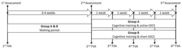 Schematic timeline of the study protocol.