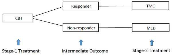 Two-stage adaptive treatment strategy for addiction management.