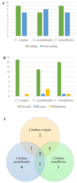 Repeats in the three Carduus species.