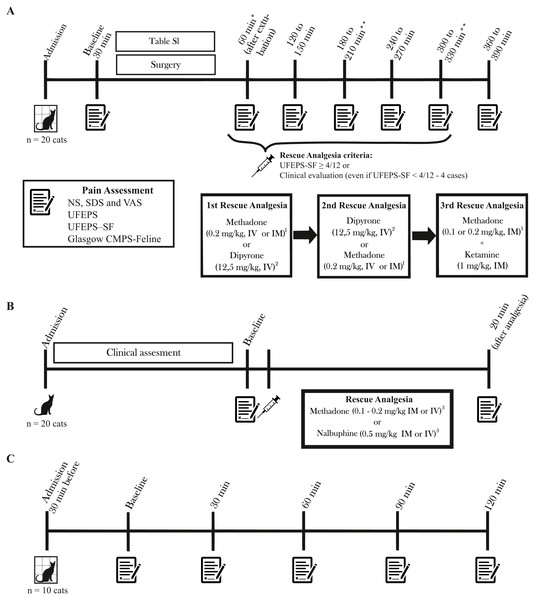 Timeline of the study, time-points for pain assessment and rescue analgesia.