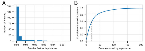 Feature importance in the BACPHLIP model.