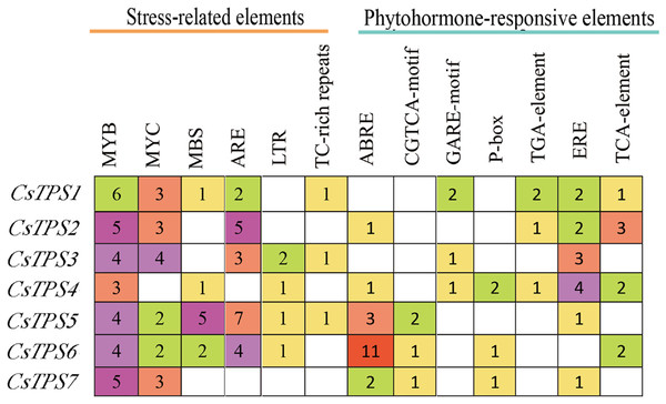 The number of Cis-acting elements in cucumber TPS genes.