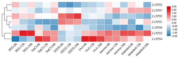 Expression levels of CsTPS genes under PEG, NaCl, H2O2, IAA, mannitol and sucrose treatments.