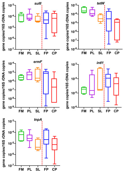 Copies of resistance related genes normalized to the number of bacterial 16S rRNA gene genes in different dairy manure.