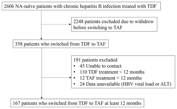 Flow diagram of the patients included in the study.