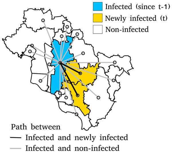 Paths between infected municipalities at time t−1 and infected and non-infected municipalities at time t.