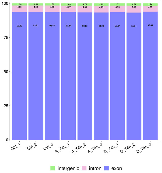 Statistical analysis of the genomic structure of valid reads.