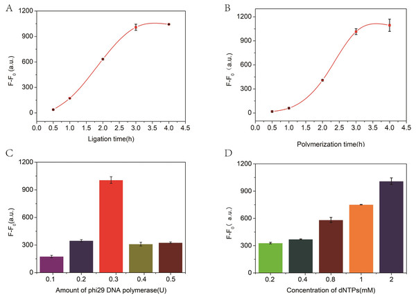 The relationship between fluorescence intensity and ligation time (A), polymerization time (B), and the concentration of phi29 DNA polymerase (C) and dNTPs (D).