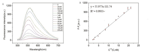 (A) Fluorescence intensity of miR-129-2-3p miRNA at different concentrations; (B) linear relationship between fluorescence intensity ratio (F-F0) and target miR-129-2-3p miRNA concentration, from 50 nM to 200 µM.