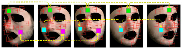 Landmarks automatically tracked by MediaPipe and correspondent patch tracking on a subject of the LGI-PPGI dataset (Pilz et al., 2018).