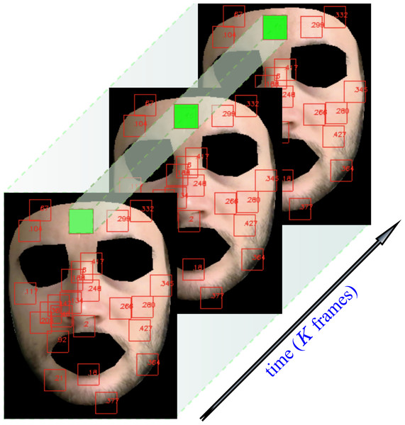 Patch tracking within a frame temporal window on a subject of the LGI-PPGI dataset (Pilz et al., 2018).