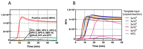 Sensitivity and specificity of the HF-LAMP assay.