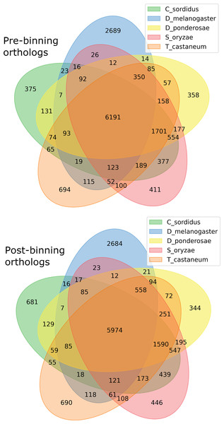 Gene orthology overlap between derived from OrthoFinder between the predicted proteins.