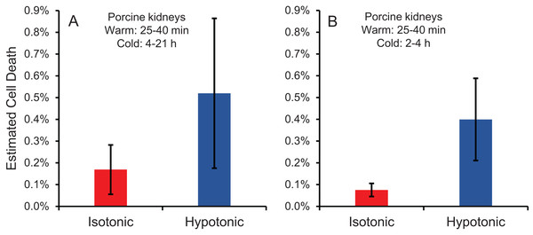 Estimated cell death due to osmotic damage during kidney perfusion.