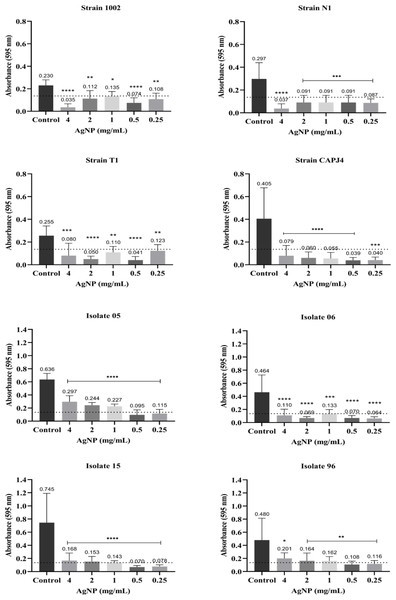 AgNP interference in the biofilm formation by C. pseudotuberculosis reference strains and clinical isolates.