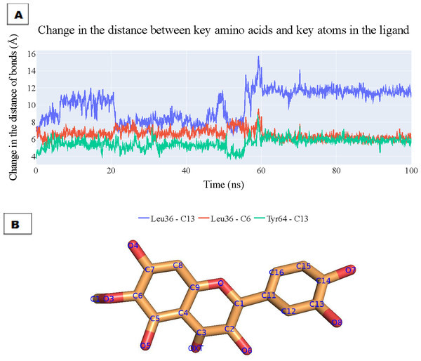 (A) The change in the distances of three key interactions (as obtained from ProLIF and PLIP).