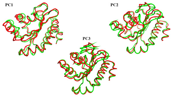 The porcupine figures of each of the first three eigenvectors for both systems.