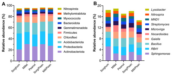 Percentage of the top ten most abundant bacterial groups at phylum (A) and genus (B) levels.